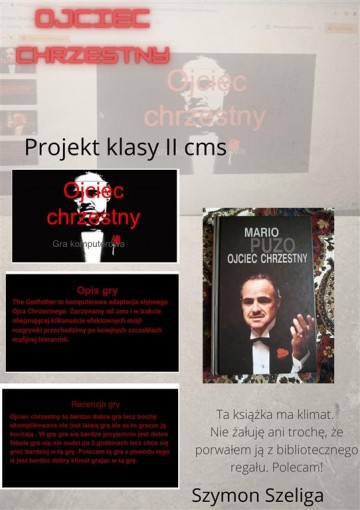 2-cms-1-zdjcie-Medium.jpg