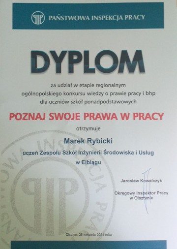Marek-Rybicki-PIP.jpg