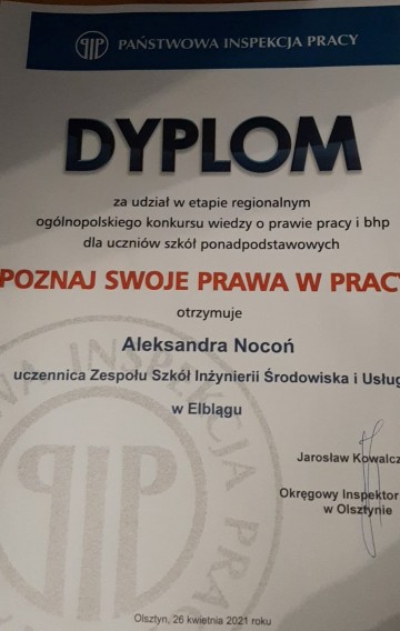 Ola-Noco-PIP.jpg