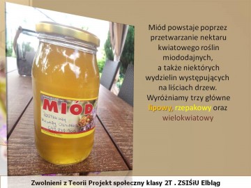 projektpszczoly10.jpg